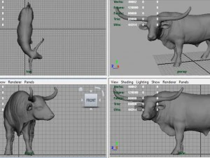 texas longhorn 3D Model