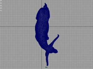 texas longhorn Modelo 3D
