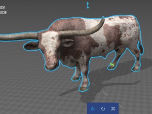 texas longhorn Modelo 3D