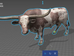 texas longhorn 3D Model