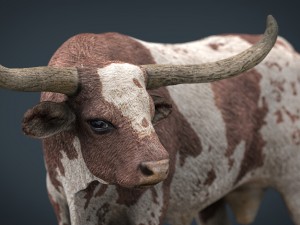 texas longhorn Modelo 3D