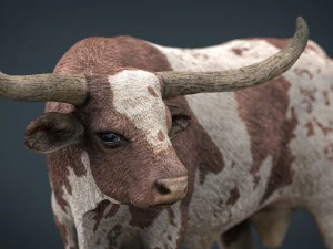 texas longhorn 3D Model