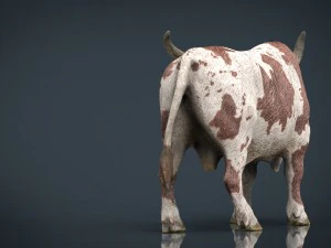 texas longhorn 3D Model