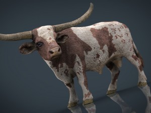 texas longhorn Modelo 3D
