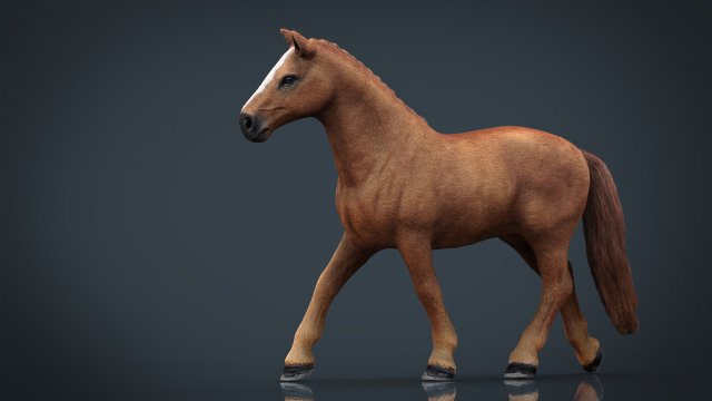 horse Model 3D .c4d .max .obj .3ds .fbx .stl .blend 