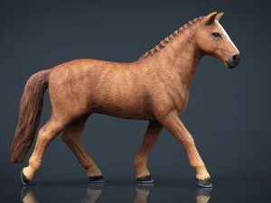 кінь 3D Модель