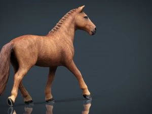 кінь 3D Модель