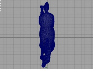 horse Model 3D
