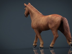 horse Model 3D