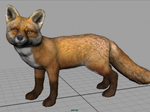 fox 3D Модель