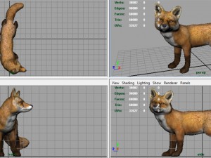 fox 3D Модель
