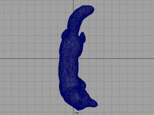 fox 3D Модель