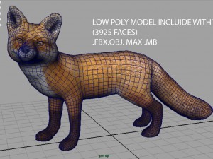 fox 3D Модель