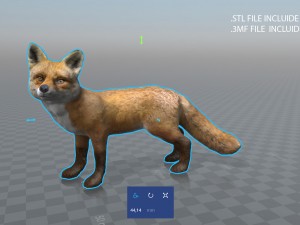 fox 3D Модель