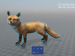 fox 3D Model