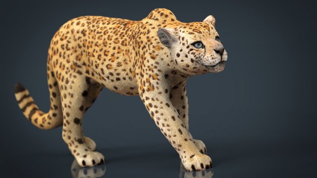 jaguar 3D मॉडल .c4d .max .obj .3ds .fbx .stl .blend