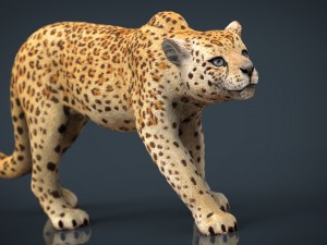 jaguar 3D Модель