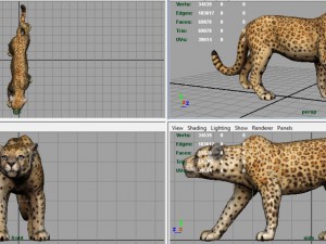 jaguar 3D मॉडल