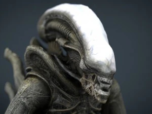 एलियन ज़ेनोमोर्फ 3D मॉडल