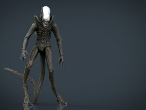 alien xenomorph 3D Model