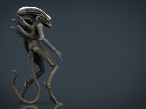 alien xenomorph 3D Model