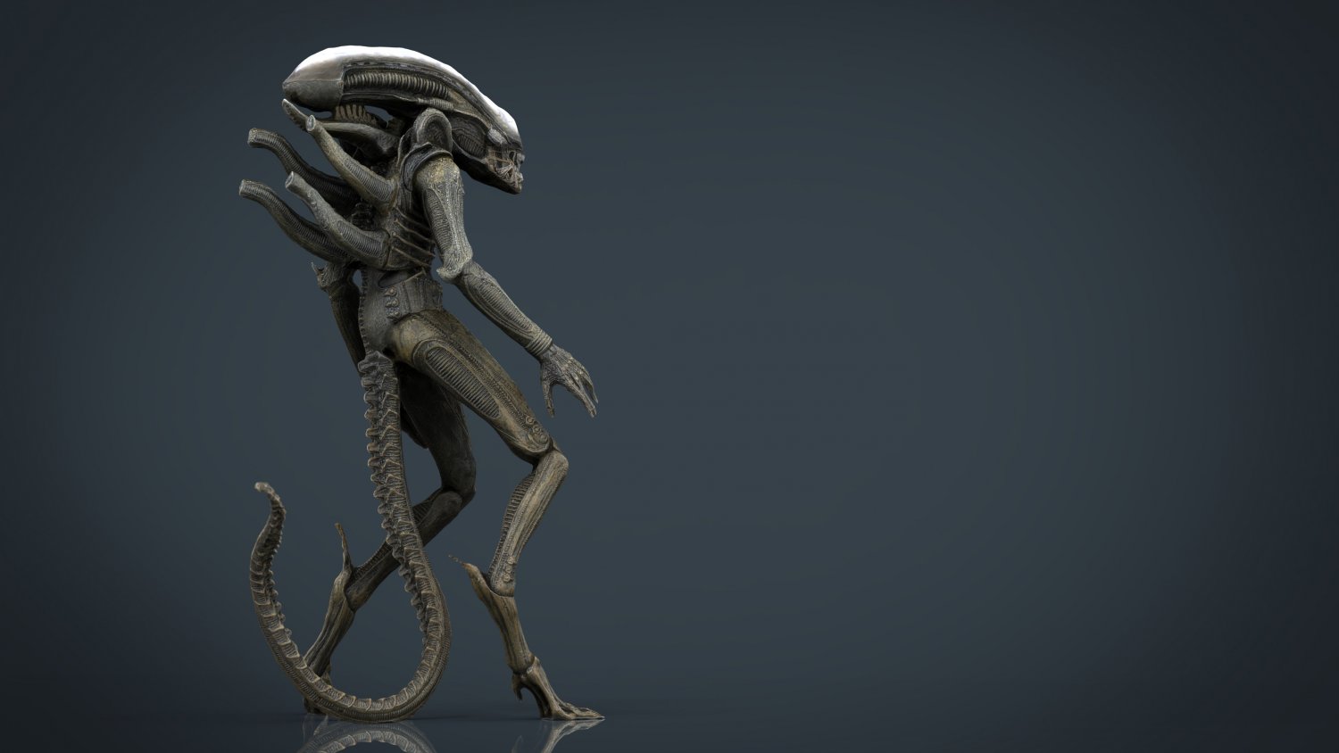 Alien Xenomorph 3d Model In Monster 3dexport