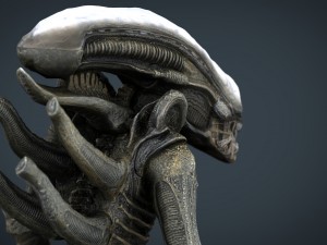 alien xenomorph 3D Model