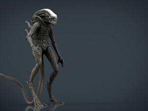 alien xenomorph 3D Model