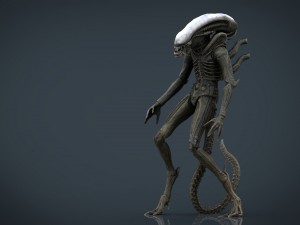 alien xenomorph 3D Model