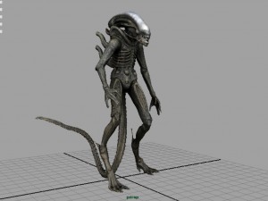 alien xenomorph 3D Model