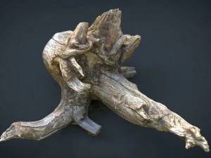 tronco morto 2 Modelo 3D