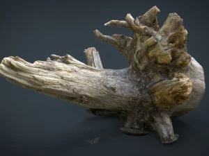tronco morto 2 Modelo 3D
