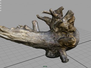 dead trunk 2 Modèle 3D