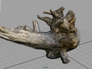 tronco morto 2 Modelo 3D