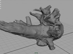 dead trunk 2 Modèle 3D