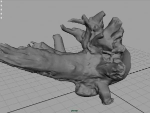 tronco morto 2 Modelo 3D