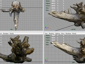 tronco morto 2 Modelo 3D