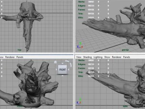 tronco morto 2 Modelo 3D