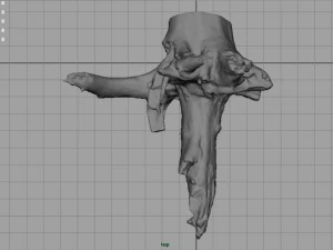 tronco morto 2 Modelo 3D