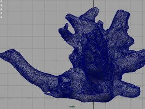 tronco morto 2 Modelo 3D