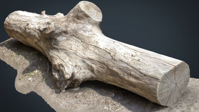 dead trunk 3 3D Model .c4d .max .obj .3ds .fbx .stl .blend 