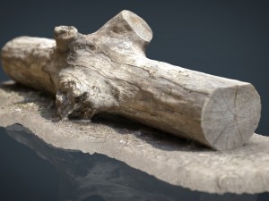 dead trunk 3 3D Model