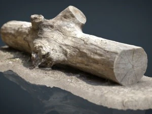 tronco muerto 3 Modelo 3D