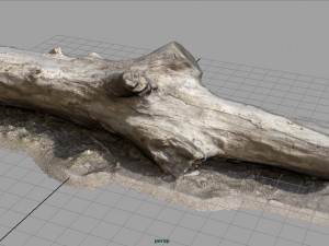 dead trunk 3 3D Model