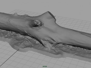dead trunk 3 3D Model