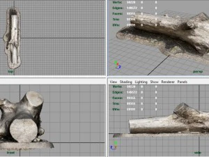 tronco muerto 3 Modelo 3D