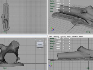 dead trunk 3 3D Model