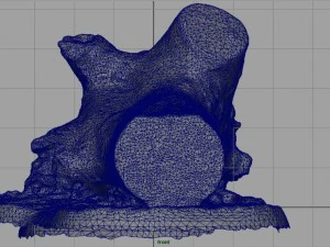 tronco muerto 3 Modelo 3D