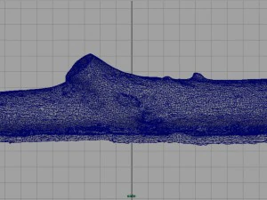 tronco muerto 3 Modelo 3D