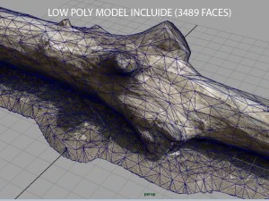 tronco muerto 3 Modelo 3D